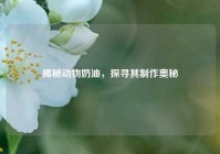 揭秘动物奶油，探寻其 *** 奥秘