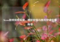 Steam游戏拍照指南，精彩定格与图片存储位置探寻