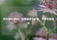 哈尔滨962医院，冰城健康守护者，三甲资质探究