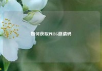 如何获取PUBG邀请码