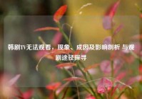 韩剧TV无法观看，现象、成因及影响剖析 与观剧途径探寻