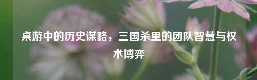 桌游中的历史谋略，三国杀里的团队智慧与权术博弈