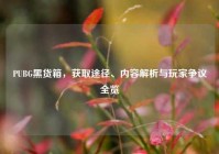 PUBG黑货箱，获取途径、内容解析与玩家争议全览