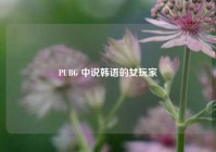 PUBG 中说韩语的女玩家