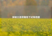 探秘王者荣耀地下试炼地图