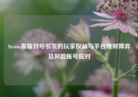 Steam *** 封号引发的玩家权益与平台规则博弈及风险账号应对