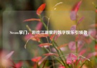 Steam掌门，游戏江湖里的数字娱乐引领者