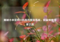 揭秘小米官网SN码真伪查询系统，权益保障可靠之选
