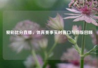 爱彩比分直播，体育赛事实时窗口与旧版回顾