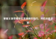 掌握王者荣耀排位英雄操控技巧，开启连胜之路