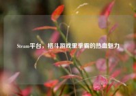 Steam平台，格斗游戏里拳霸的热血魅力
