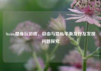 Steam隐身玩游戏，自由与隐私平衡及好友发现问题探究