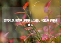 惠普电脑桌面壁纸更换全攻略，轻松掌握更换技巧