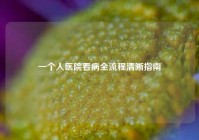 一个人医院看病全流程清晰指南