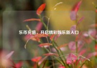 乐币充值，开启精彩娱乐新入口
