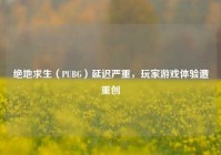 绝地求生（PUBG）延迟严重，玩家游戏体验遭重创