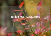 解密 *** 热词，bot与boy的含义