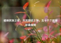 唱响民族之歌，共筑团结之梦，五十六个民族歌曲视频