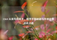 CSGO 从菜鸟到高手，探寻手稳秘籍与手部姿势进阶之路