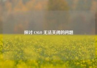 探讨 CSGO 无法关闭的问题