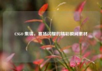 CSGO 集锦，赛场闪耀的精彩瞬间素材