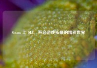 Steam 上 DLC，开启游戏拓展的精彩世界