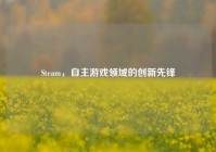 Steam，自主游戏领域的创新先锋