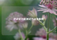 逆战宏功能测试 *** 全解析