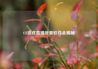 CF游戏直播所需软件全揭秘