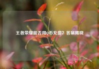 王者荣耀能否用Q币充值？答案揭晓