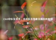 CSGO中队友杀手，攻击队友现象及踢出机制剖析