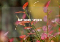 解析腹部胀气的成因