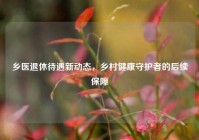 乡医退休待遇新动态，乡村健康守护者的后续保障