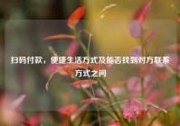扫码付款，便捷生活方式及能否找到对方联系方式之问