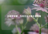王者梦受阻，为何无法下载王者荣耀