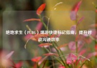 绝地求生（PUBG）端游快捷标记指南，提升对战沟通效率