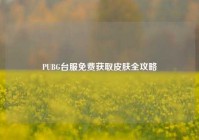 PUBG台服免费获取皮肤全攻略