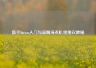 新手Steam入门与滚筒洗衣机使用双教程