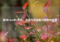 探寻CSGO中C声音，读音与竞技魅力的独特音符