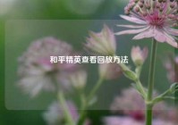 和平精英查看回放 *** 