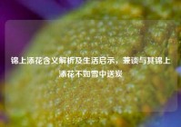 锦上添花含义解析及生活启示，兼谈与其锦上添花不如雪中送炭