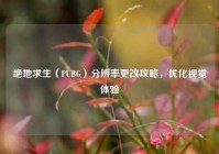 绝地求生（PUBG）分辨率更改攻略，优化视觉体验