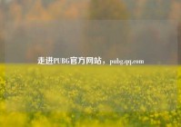 走进PUBG官方网站，pubg.qq.com