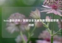 Steam备份进程，数据安全关键步骤及进度停滞问题