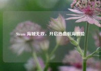 Steam 海贼无双，开启热血航海冒险