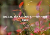 江安之韵，四川大学江安校区——知识与美好的殿堂