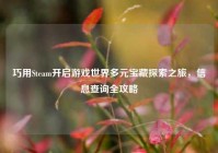 巧用Steam开启游戏世界多元宝藏探索之旅，信息查询全攻略