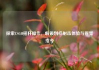 探索CSGO摇杆操作，解锁别样射击体验与摇晃指令