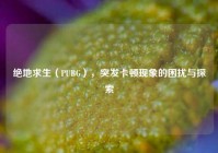 绝地求生（PUBG），突发卡顿现象的困扰与探索