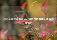 CSGO头盖骨英语语音，探寻独特游戏元素背后的魅力